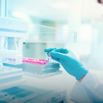 /Image Grid/DTP Governance.png